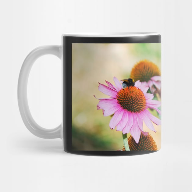 Echinacea Purpurea with Bee by jojobob